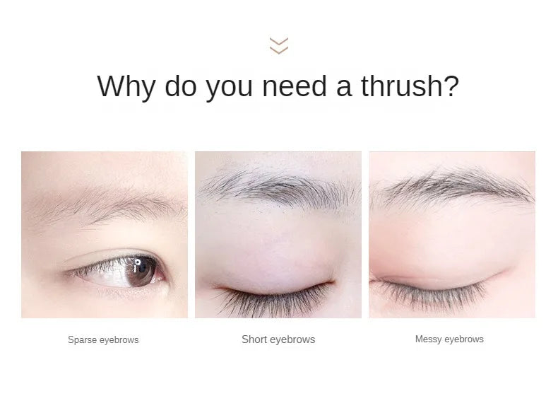 2-in-1 Professional Eyebrow Pencil – 5 Colors