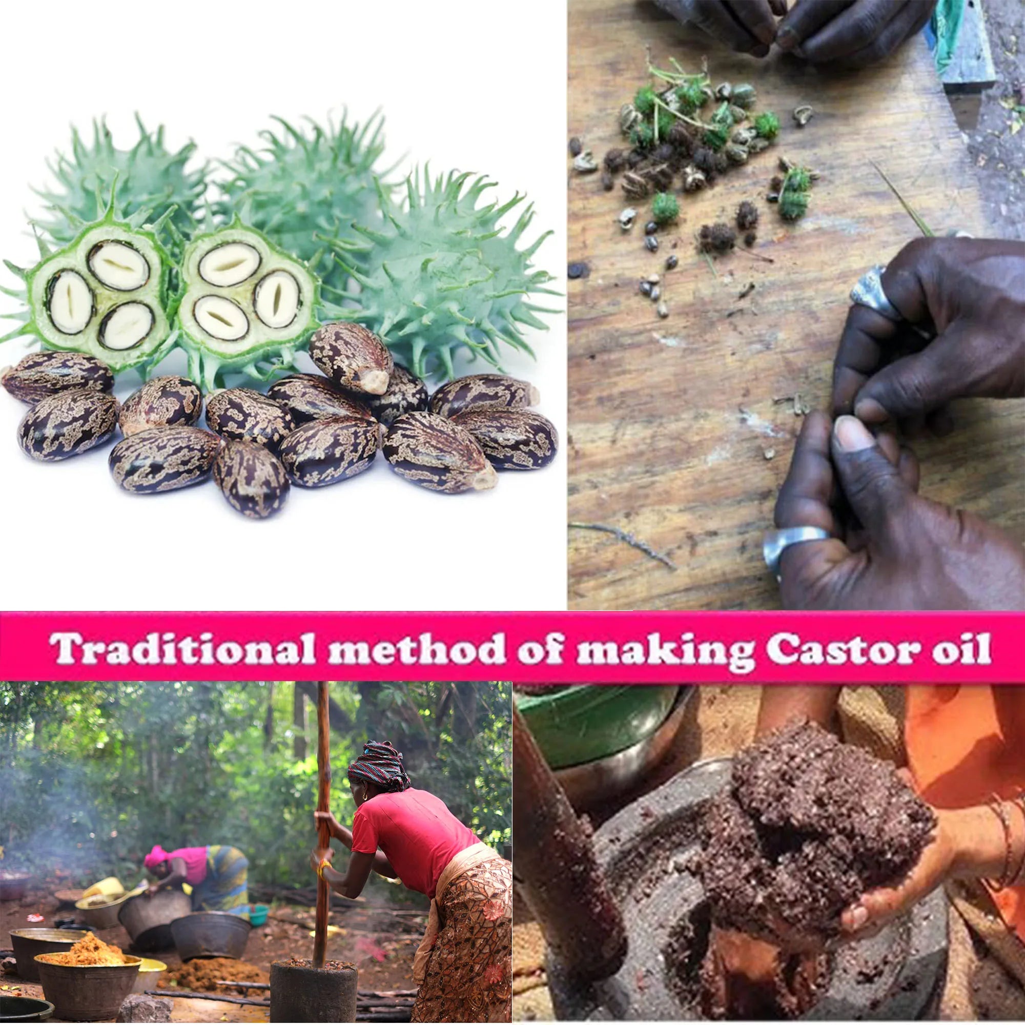 African Rosemary & Cloves Hot Oil