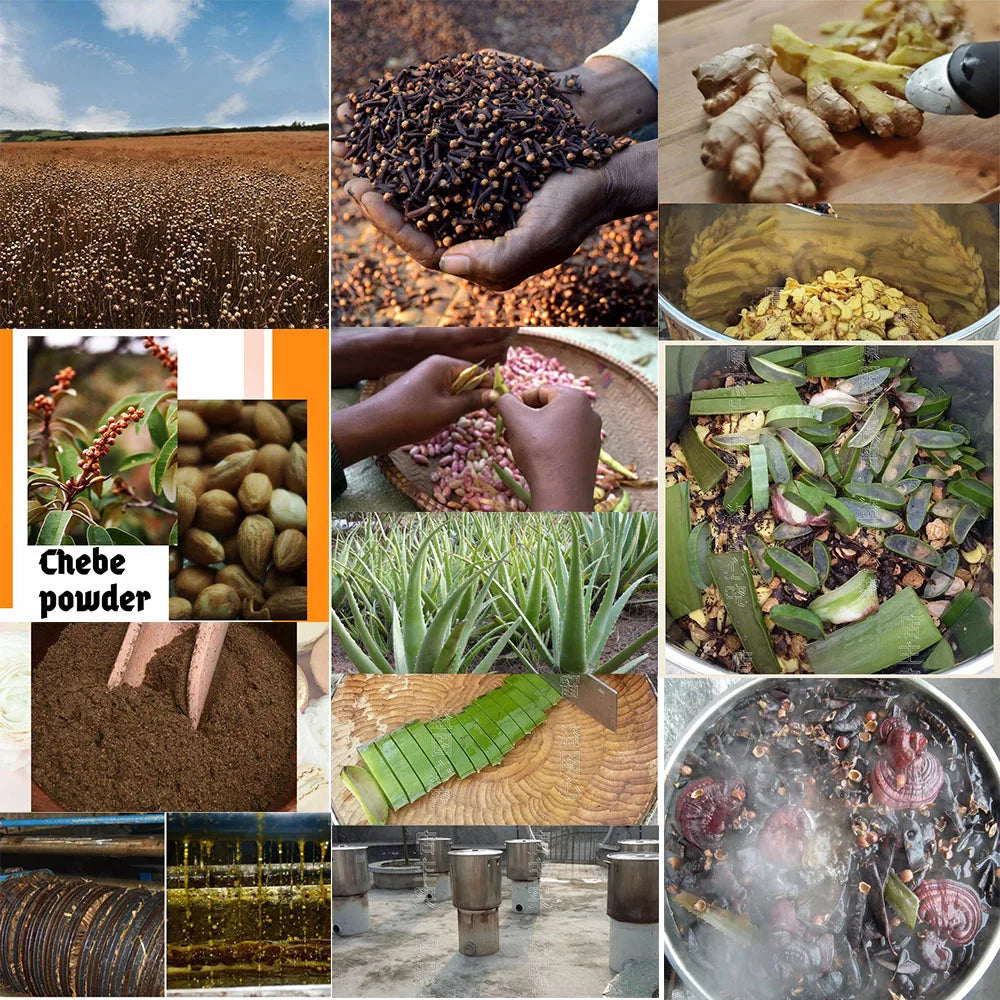 African Layden Oil – Hair Growth & Strengthening